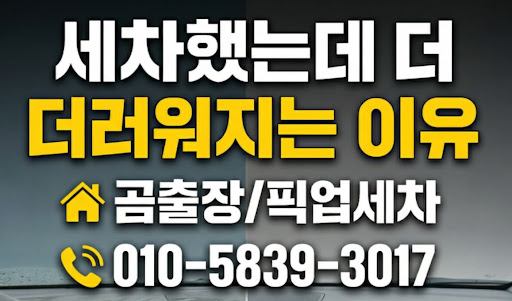 안양출장세차 시공 시 공간 제약 없는 워터리스 세차가 각광받는 이유 - 곰출장세차