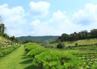 용인수목장 가격정보